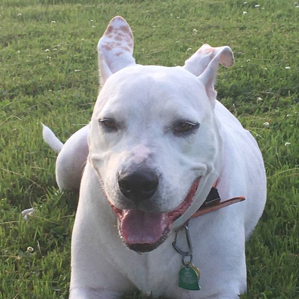 Meet your Posher, Jason